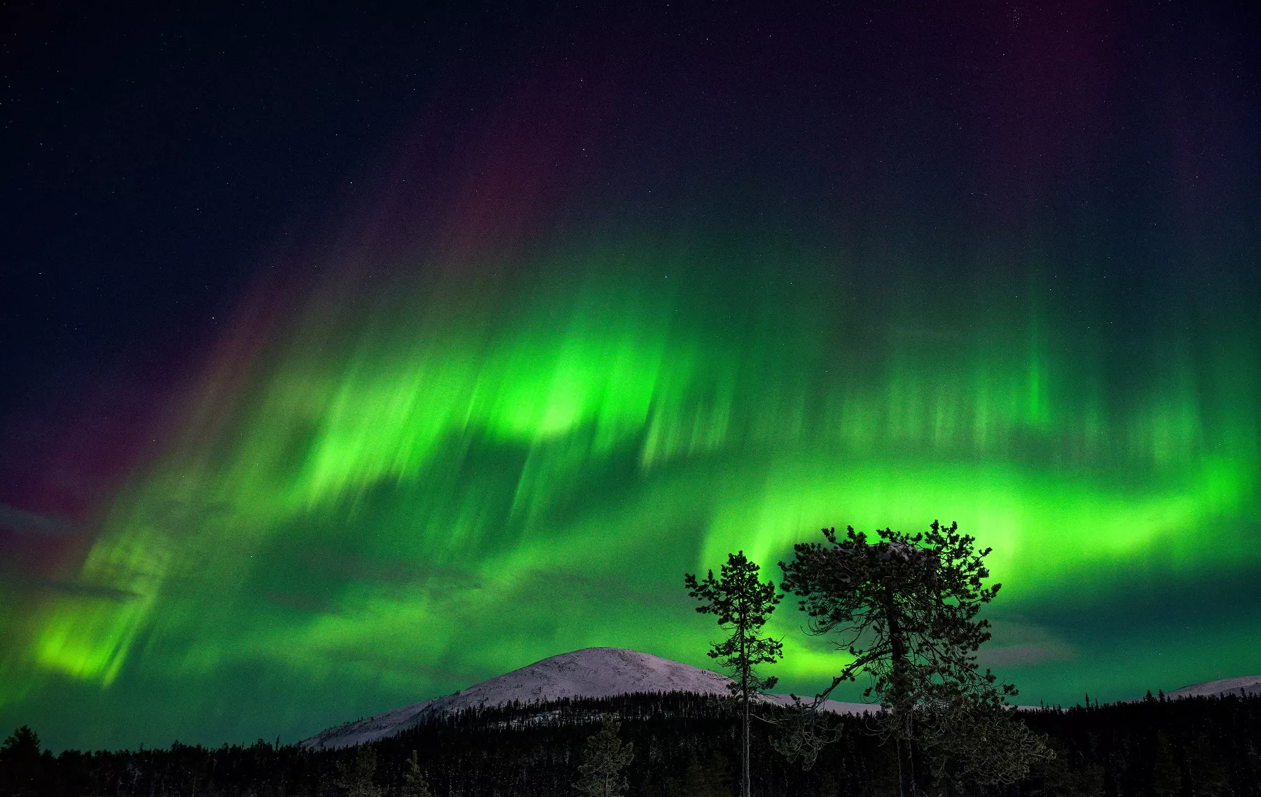 Aurora Seen From Airplane After Strong Geomagnetic Storm Smashed Into Earth - Vimarsana News