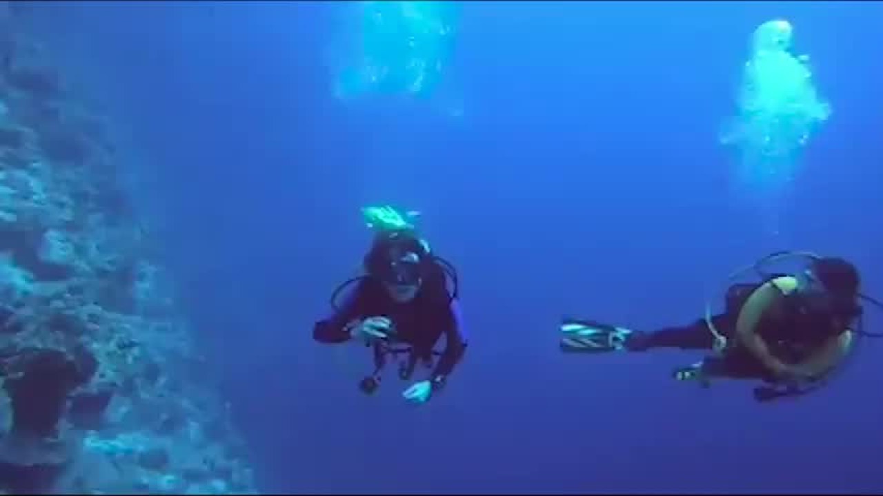 Diver Gets Mouth Cleaned by Fish in Deep, Deadly Blue Hole