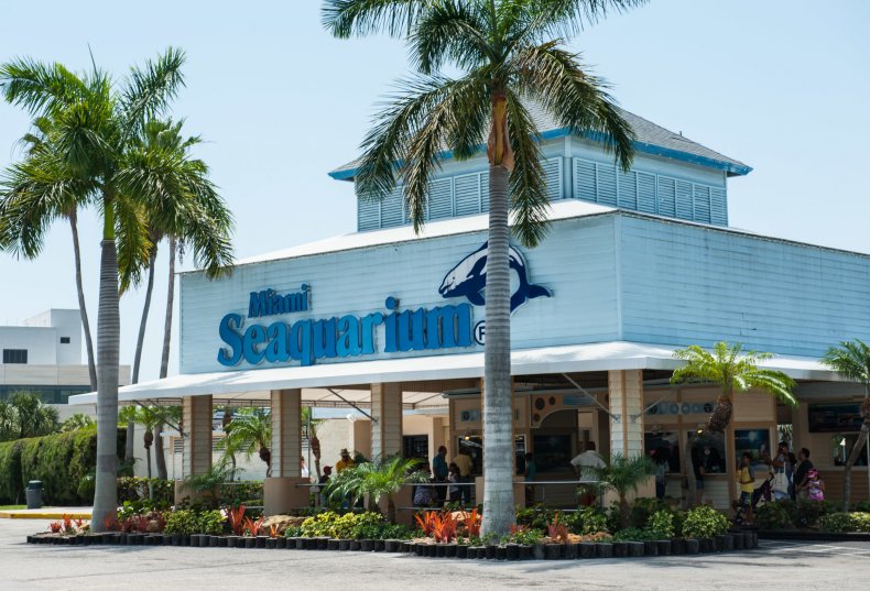 Miami Seaquarium 