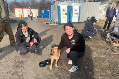 Rescue Dogs at The UkrainianPoland Border Rescue Dogs at The UkrainianPoland Border