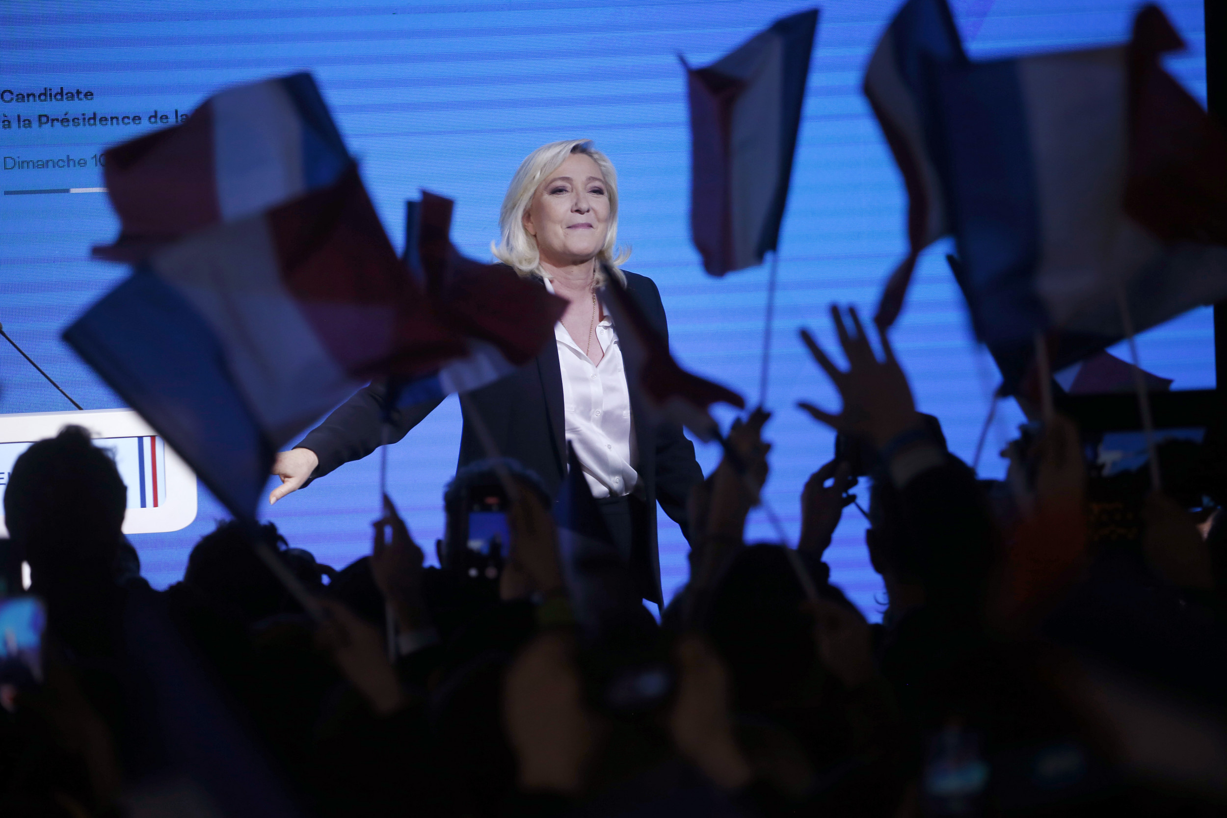 Marine Le Pen replaced as head of France's National Rally party