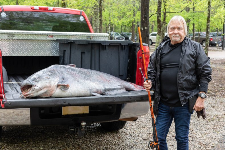 Monster catfish