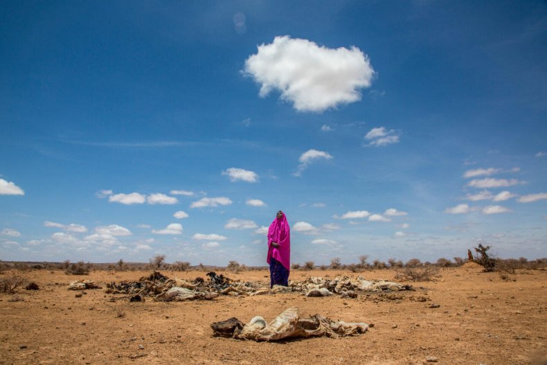 Food shortages in Somalia