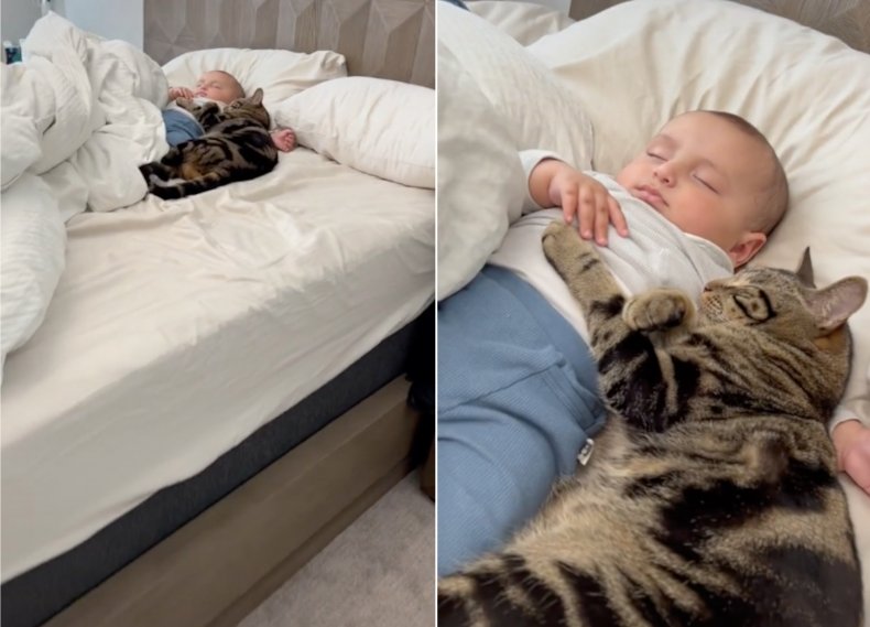 Cat and baby napping