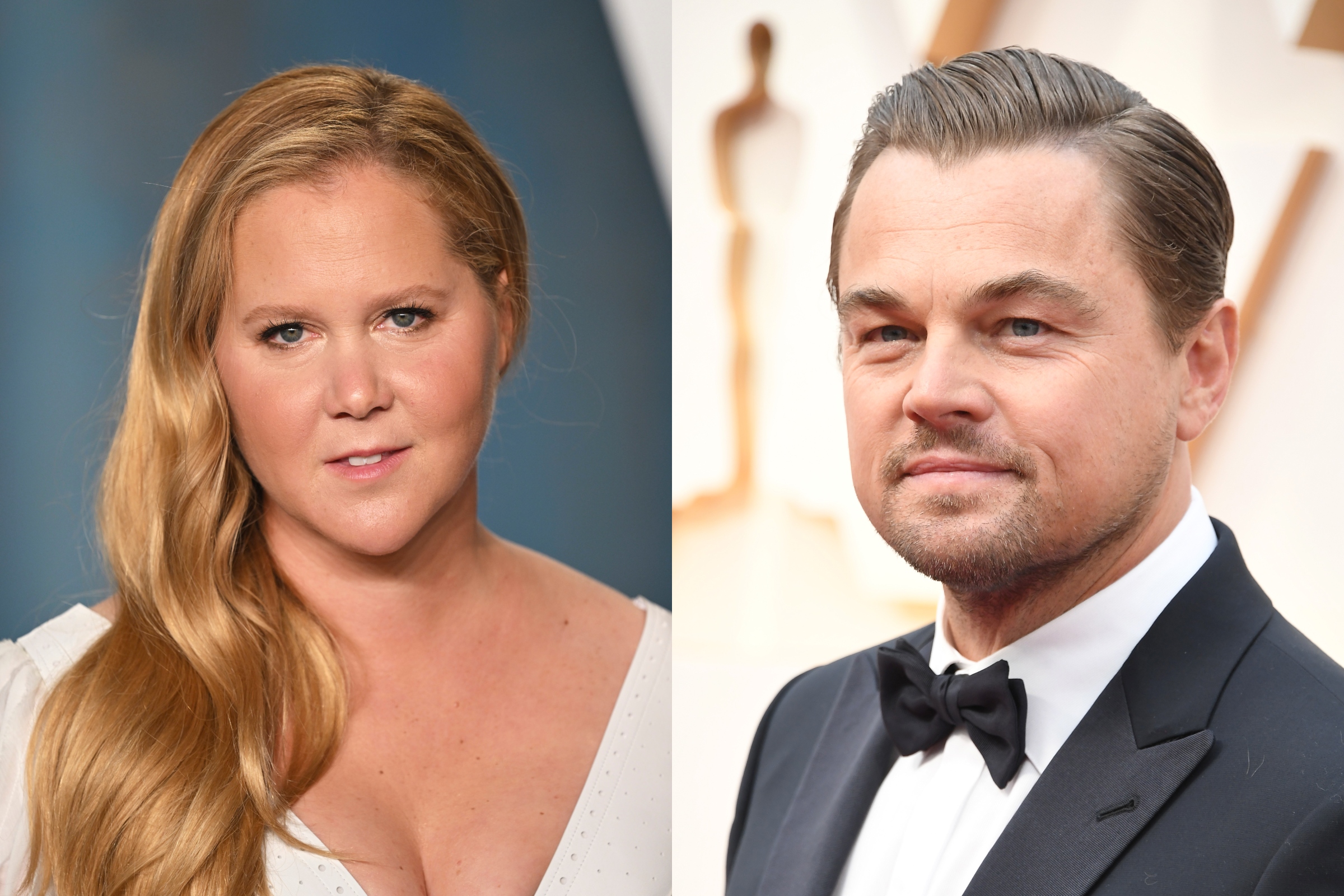Leonardo DiCaprio Gave His Blessing to Girlfriend Joke at Oscars