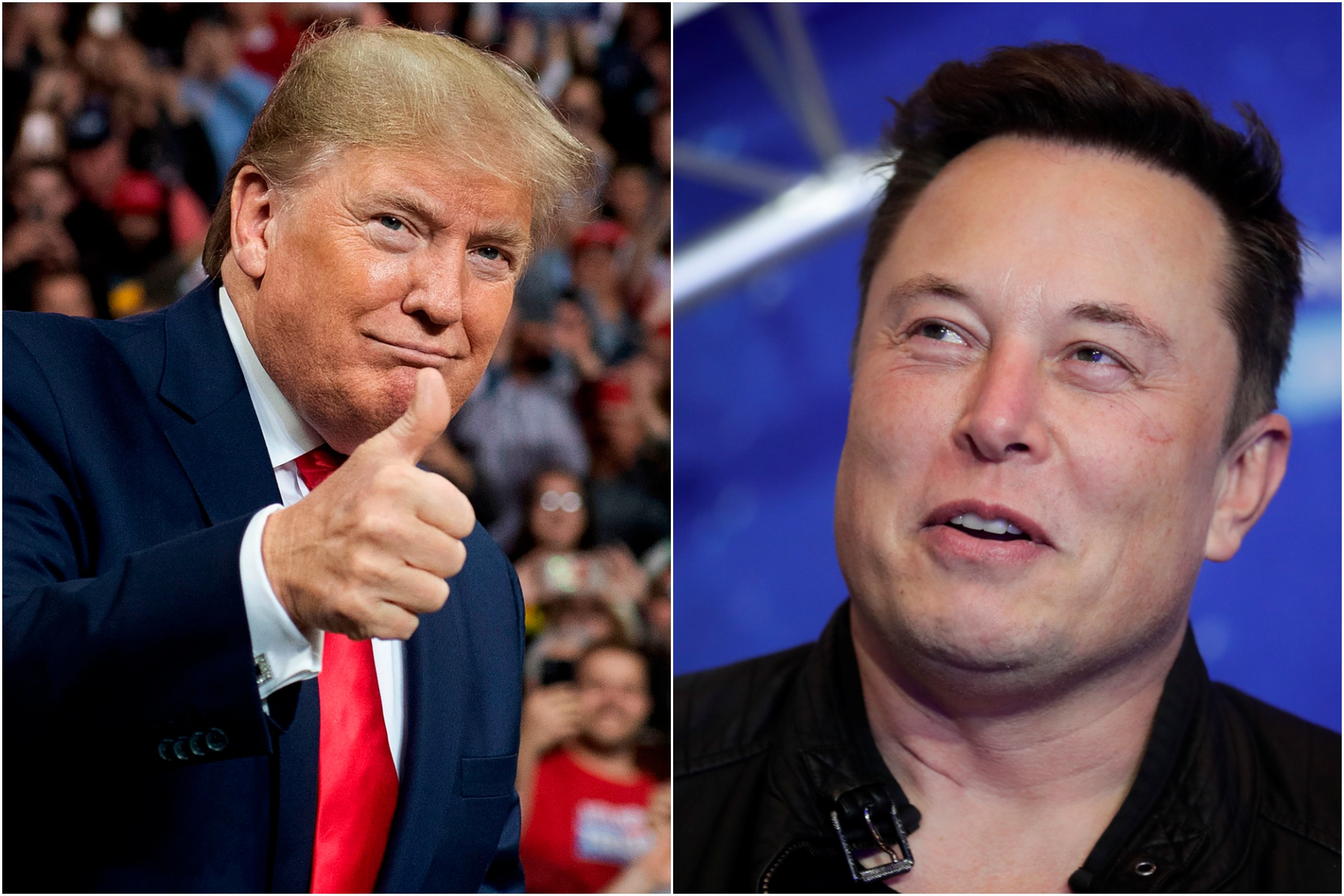 Is Elon Musk A Trump Supporter What Tesla Ceo Has Said About Former Potus Newsweek 