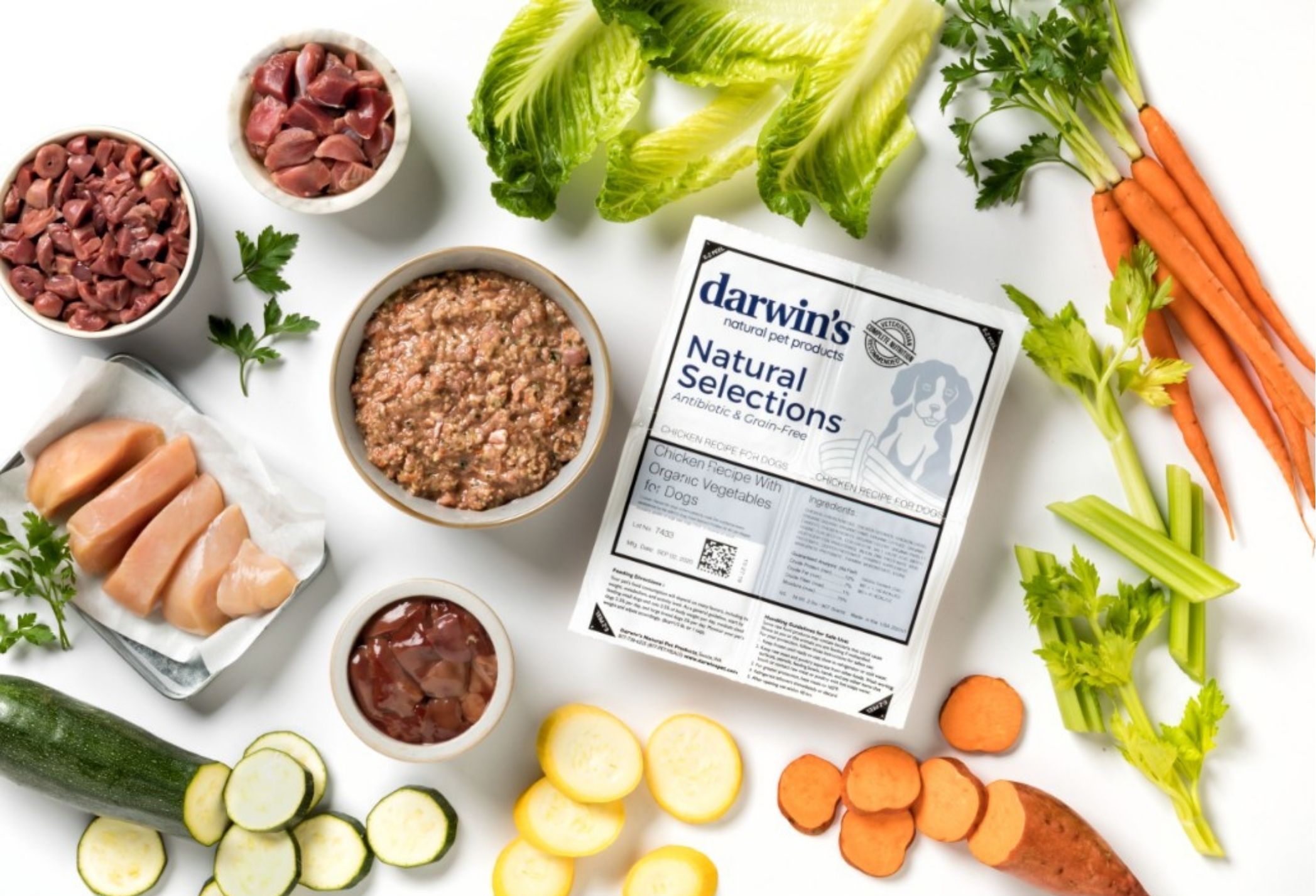 Darwin's raw pet food for dogs