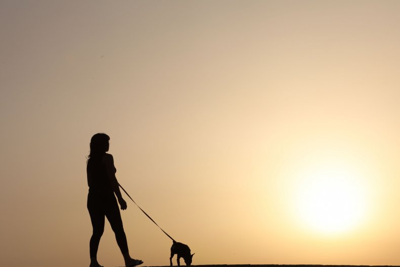 A silhouette of a woman