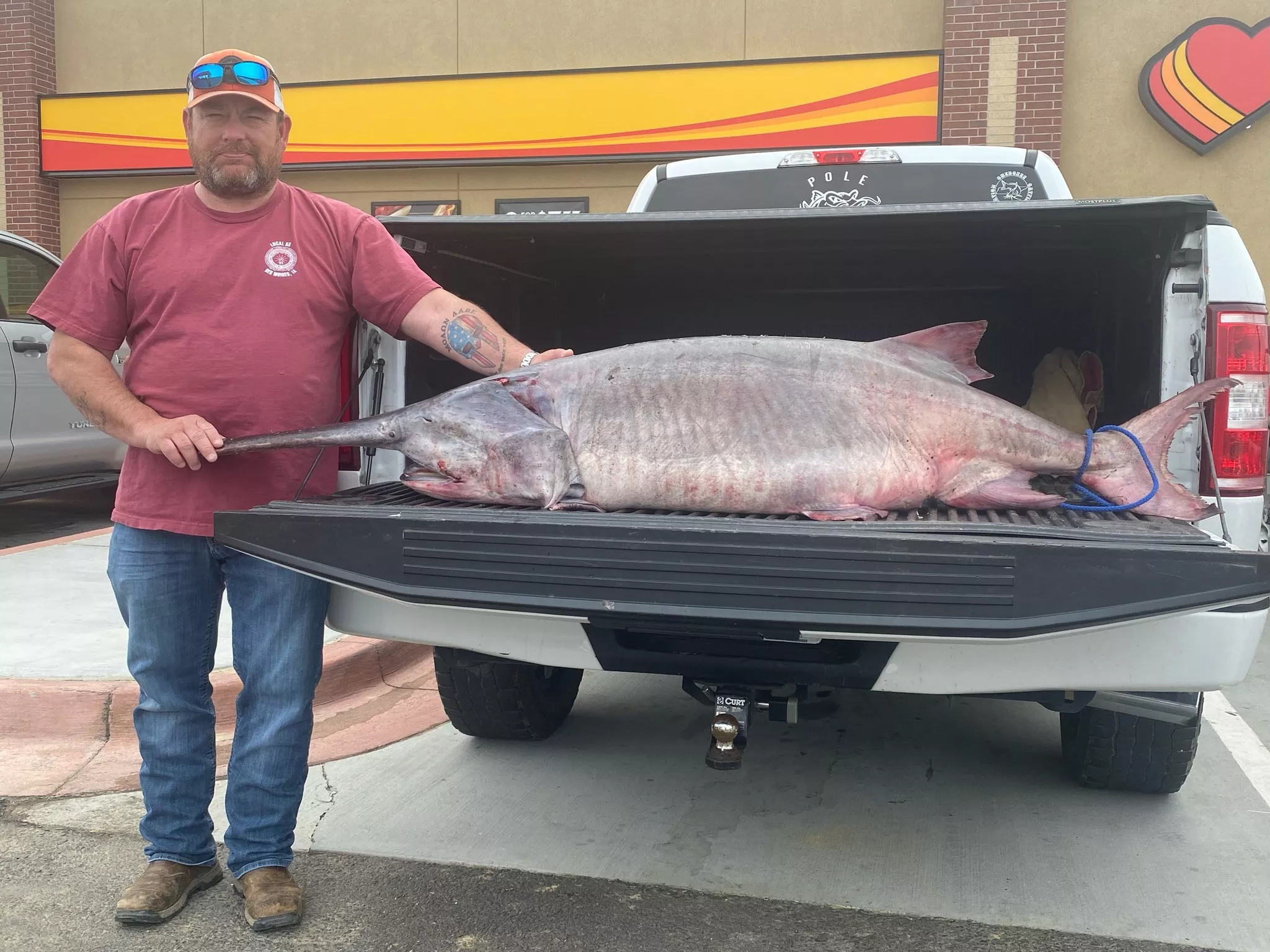 Monstrous Paddlefish as Heavy as a Baby Rhino Breaks Tennessee Record - Vimarsana News