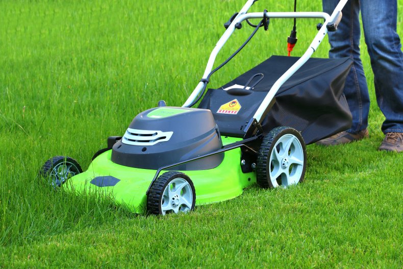 Man using lawnmower