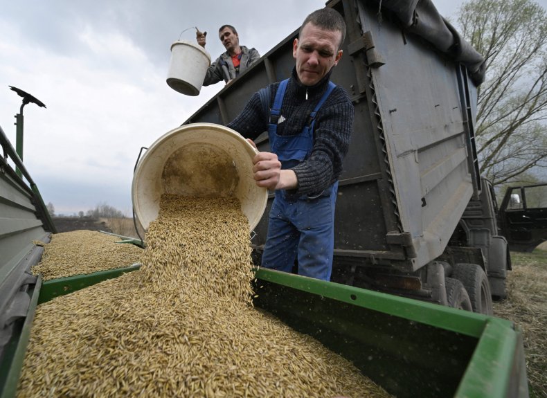 Ukraine wheat