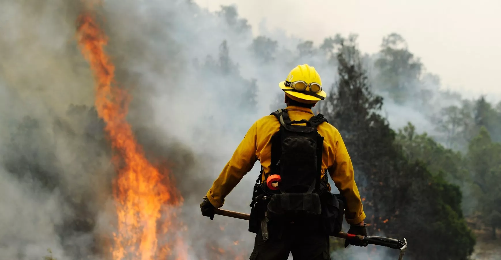 Arizona Tunnel Fire Map, Update as Blaze Forces Thousands To Evacuate - Vimarsana News