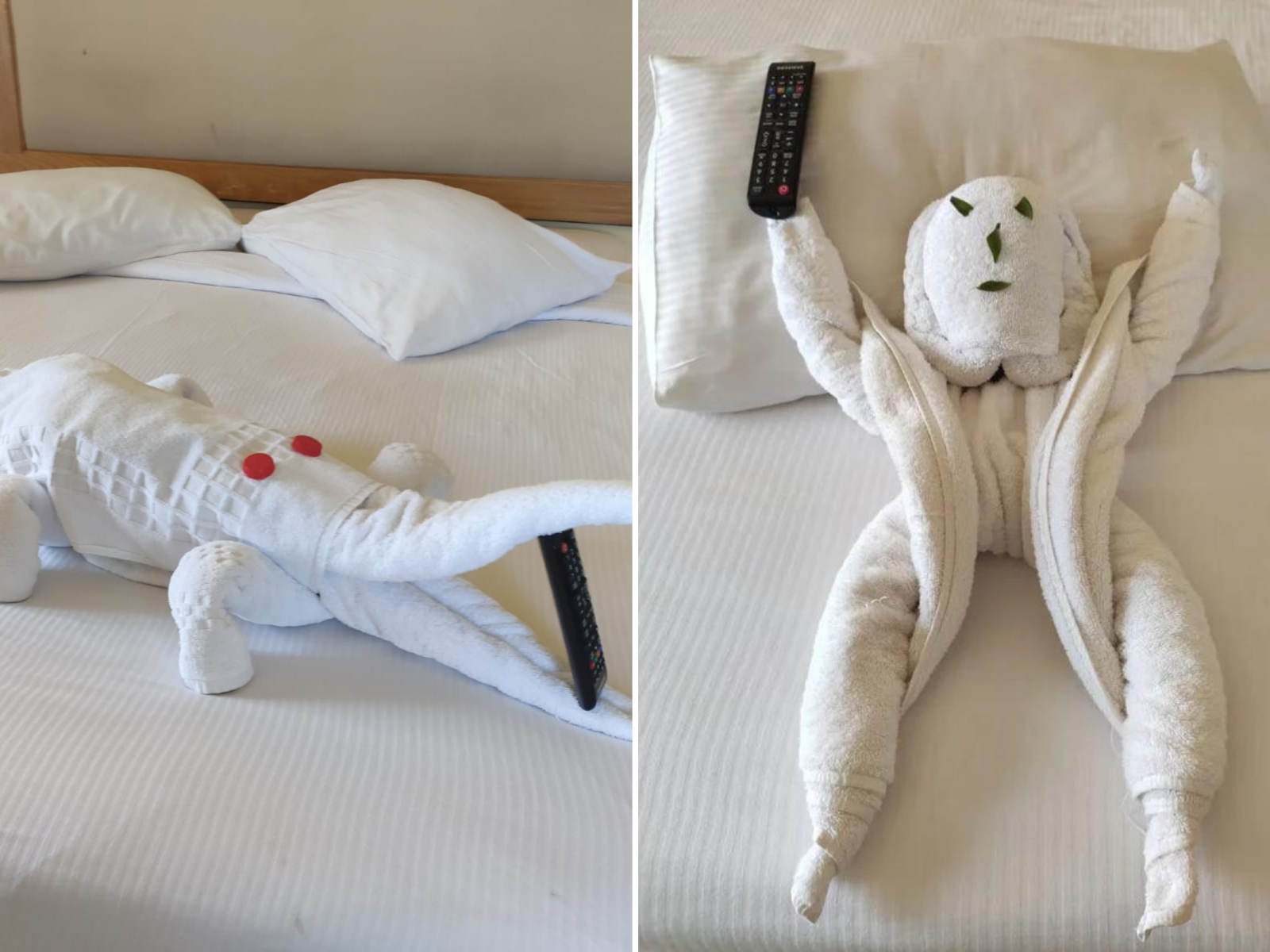 Toweligator': Internet Loves Hotel Housekeeper's Creative Towel