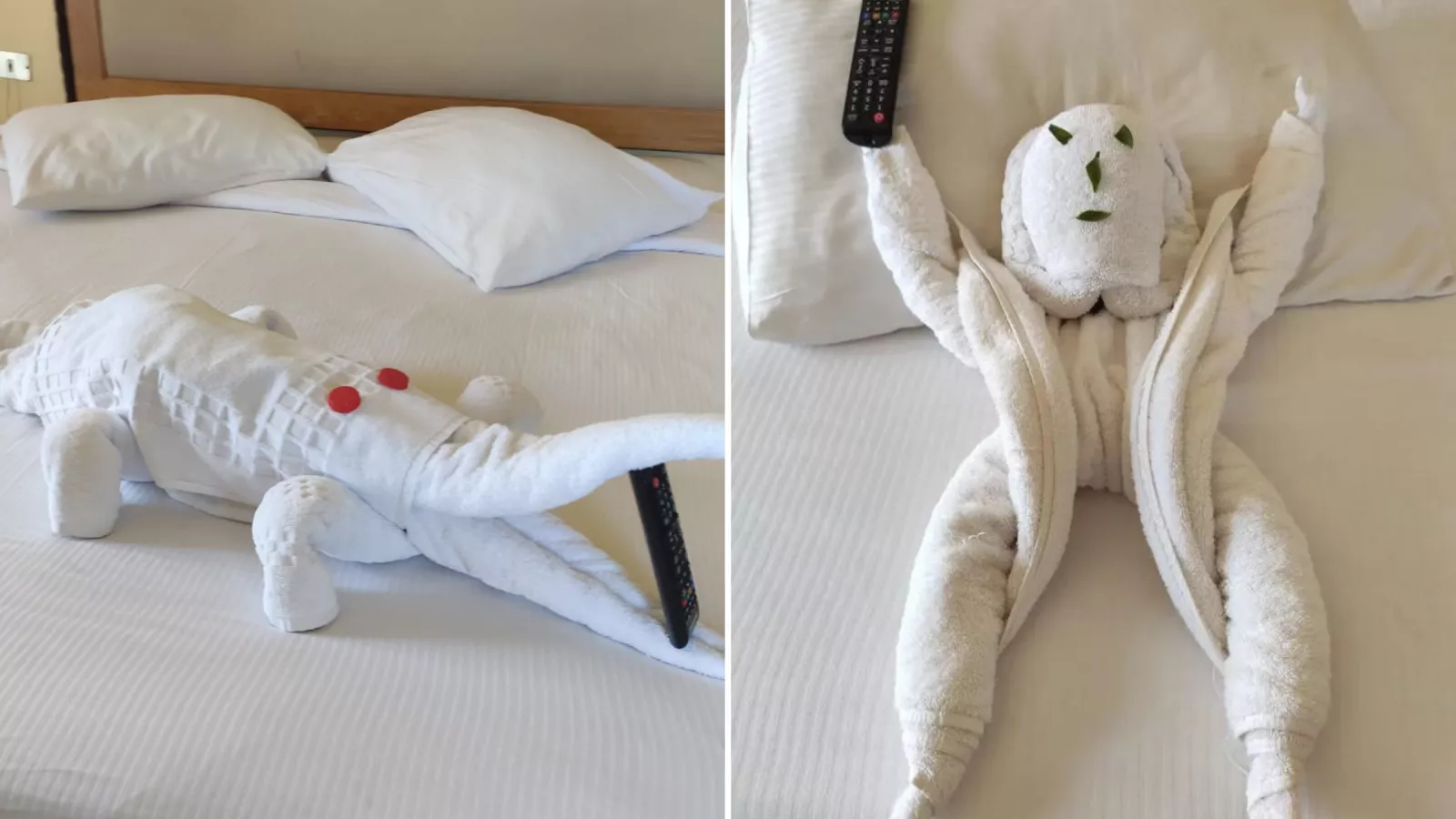 Housekeeping towel size sale