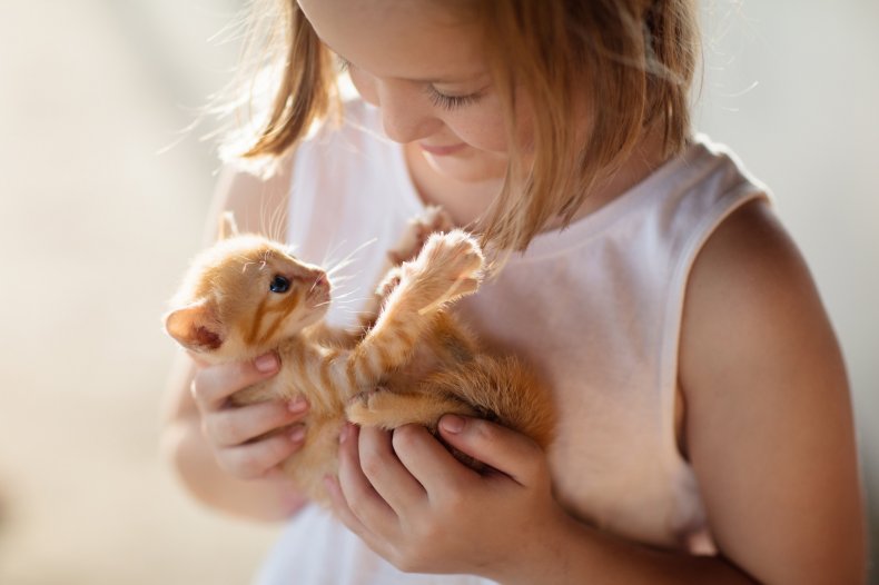 A young girl holding a tiny kitten.