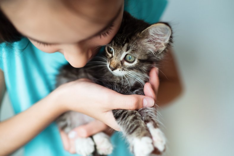 A child gently holding a small kitten.