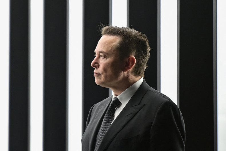 Tesla CEO Elon Musk is pictured