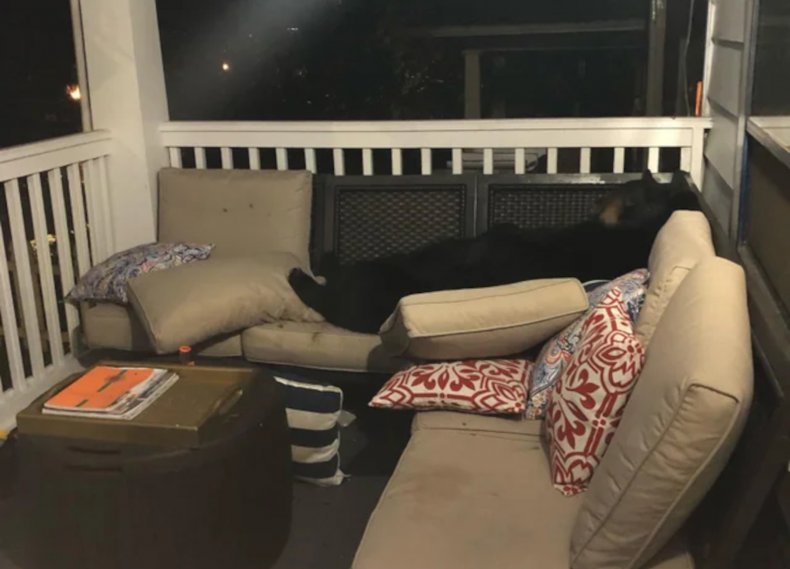 Bear relaxing on porch