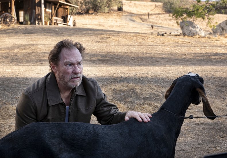 Stephen Root in Barry