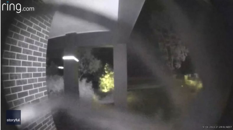 Spider on camera