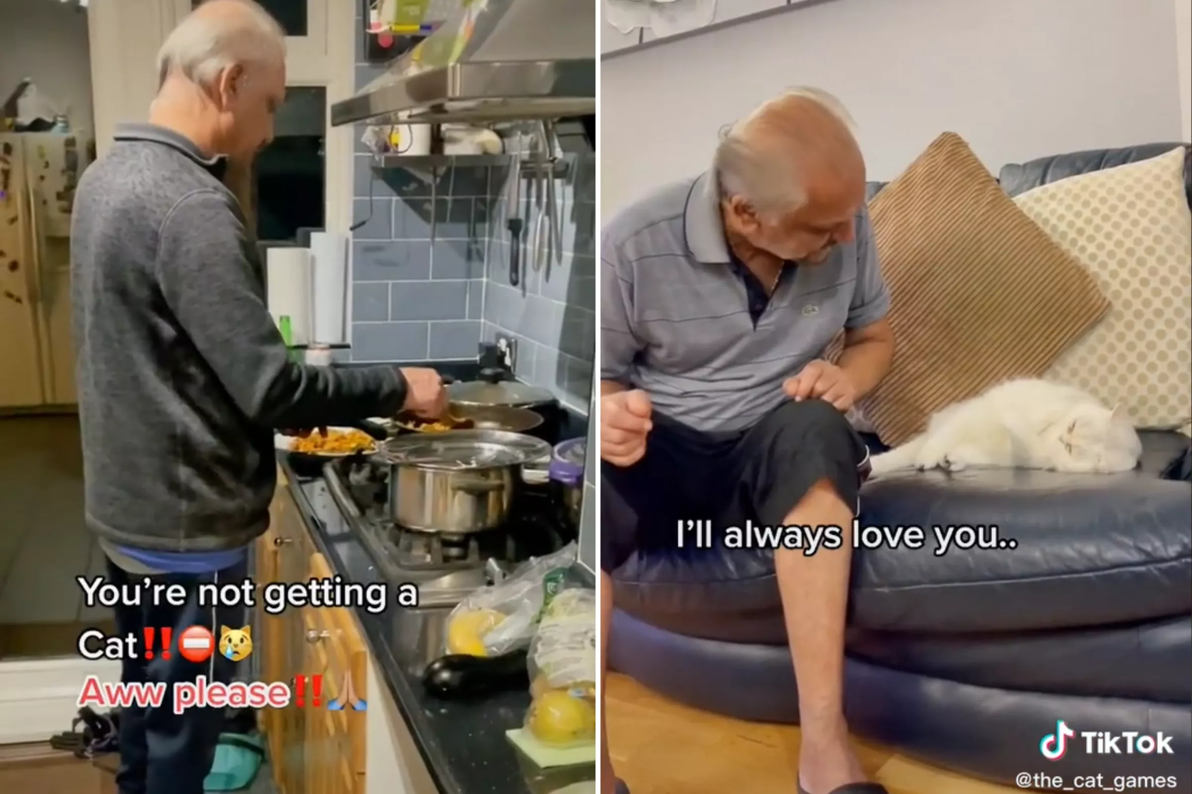 Dad Who 'Didn't Want Cat' Caught Singing 'I Will Always Love You' to Pet - Vimarsana News