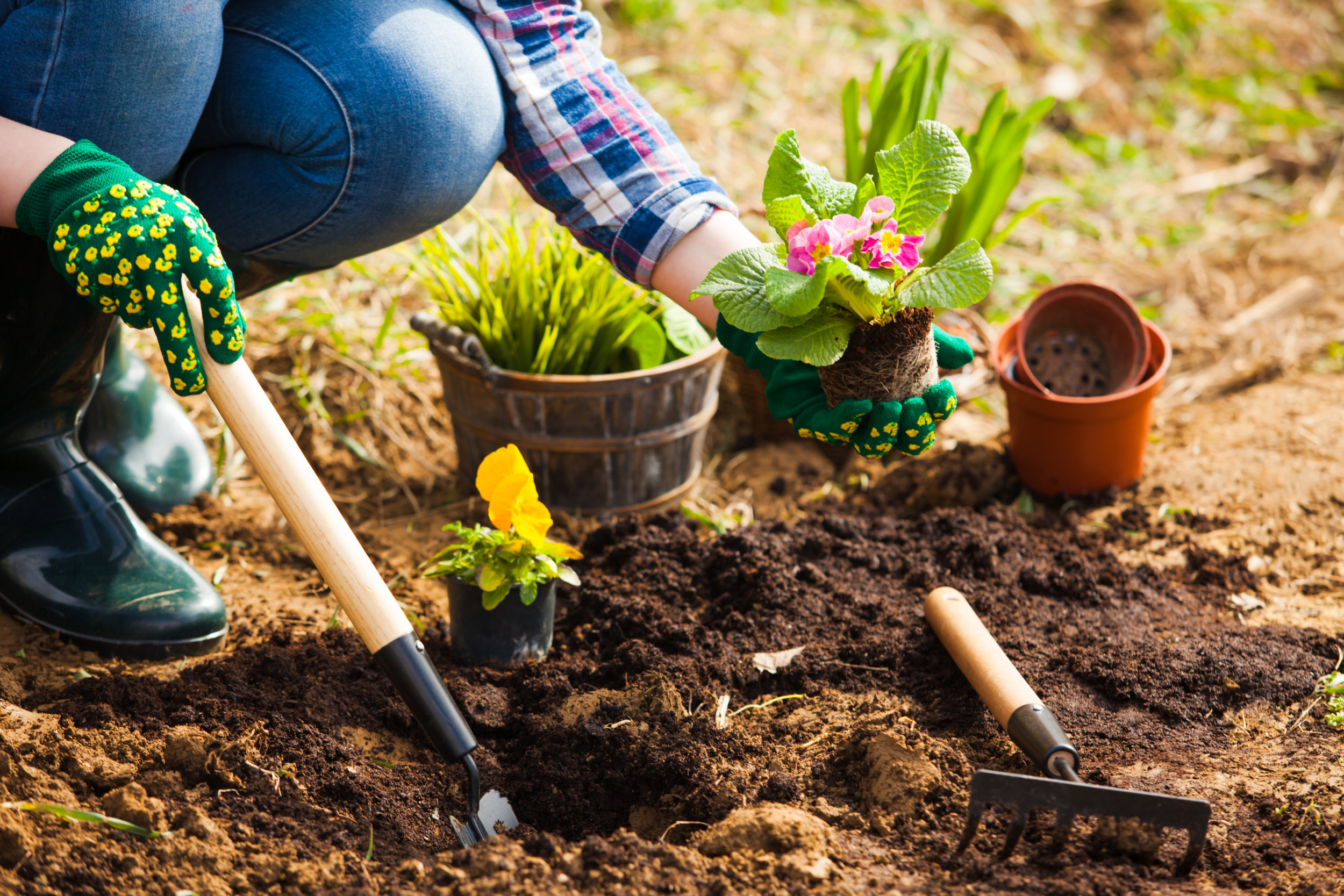 Planting flowers. Сад и огород в мае. Майские на даче. Майские праздники на даче. Дорогие садоводы и огородники.