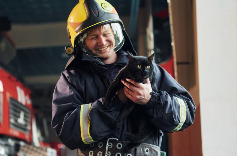 Cat Firefighter