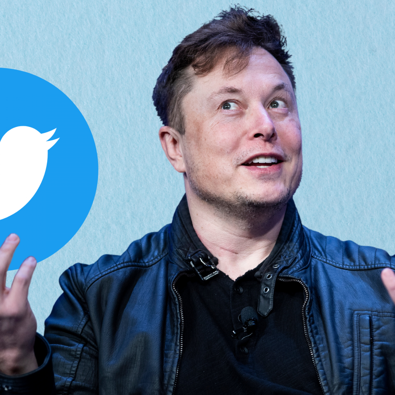 Why Does Elon Musk Want to Buy Twitter? Tesla CEO's ...