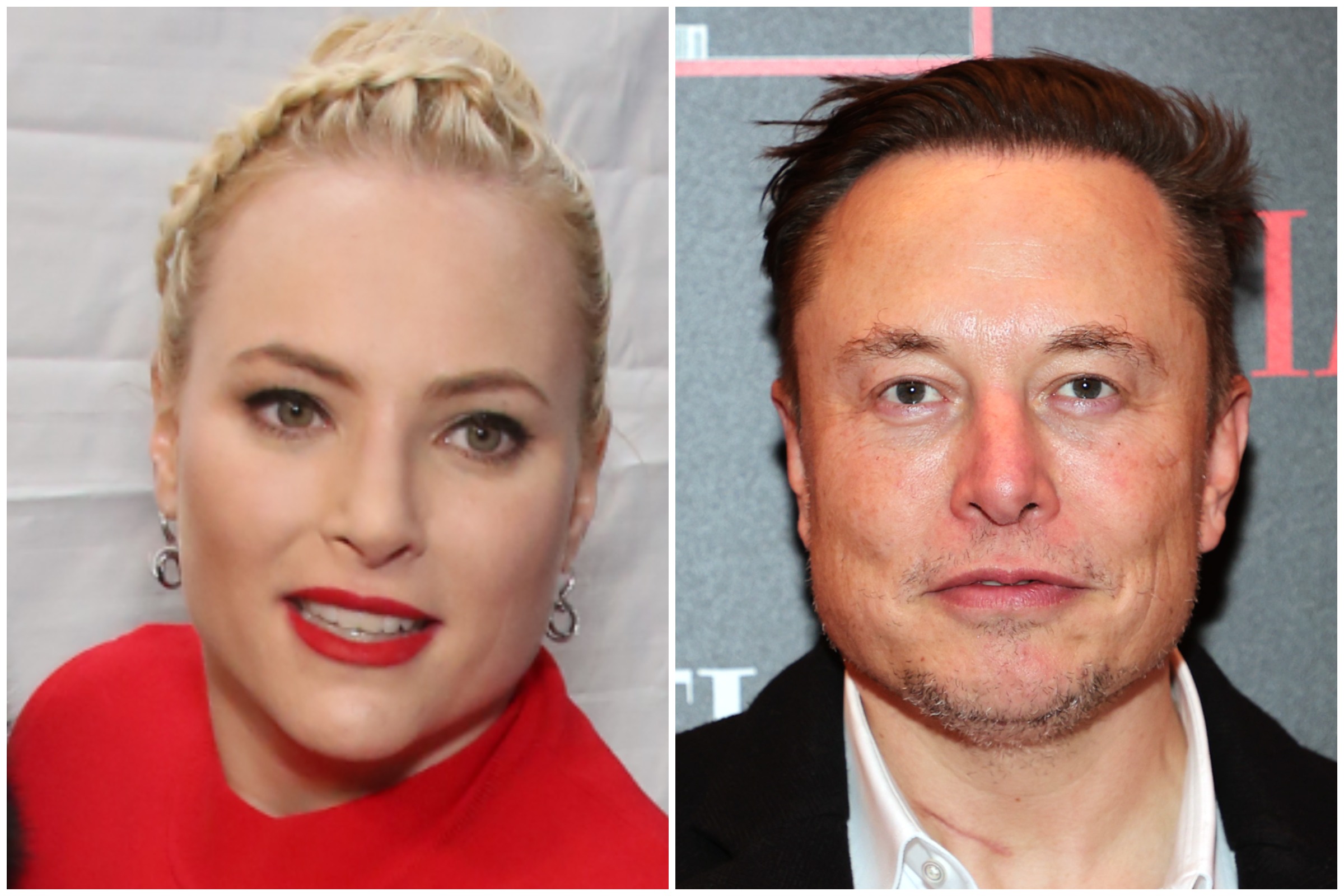 Meghan McCain Talks Twitter 'Toxicity' Amid Elon Musk Takeover Bid ...