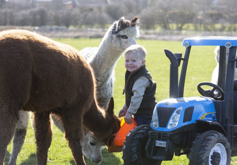 Tractor, farming, kid