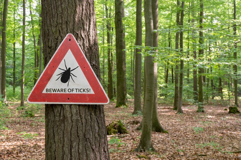 Beware of ticks sign