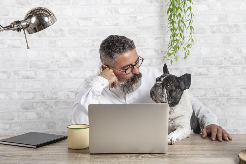 Dog sitting in man's lap facing laptop.