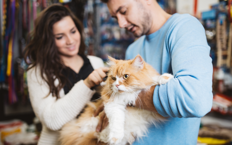 A couple with a fluffy cat.