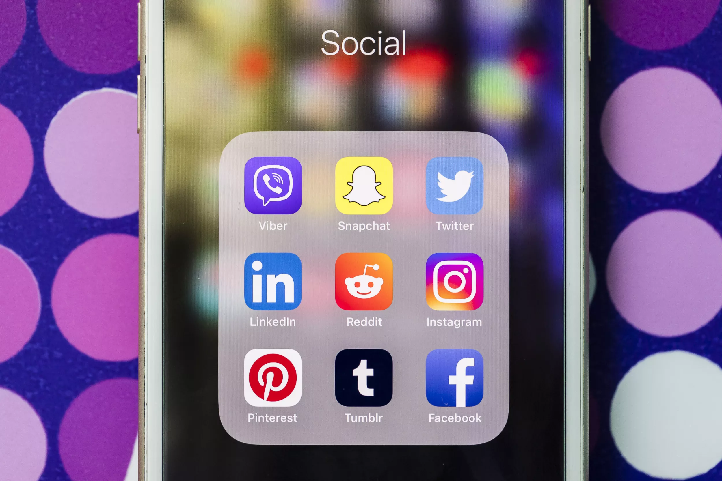 Why Twitter Won't Suffer Same Fate as Myspace, Tumblr After Musk Purchase - Vimarsana News