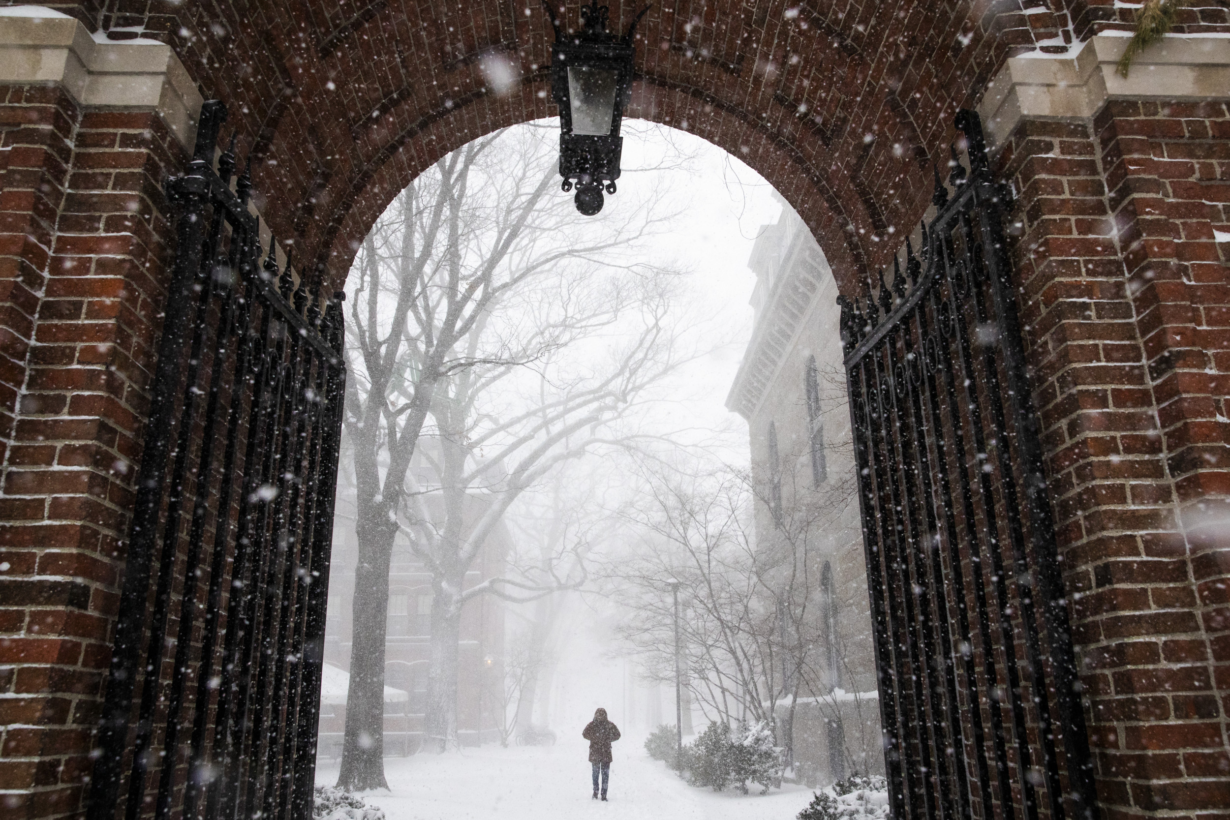 Harvard Puts Its 'Extensive Financial Ties' to Slavery on Display in Report