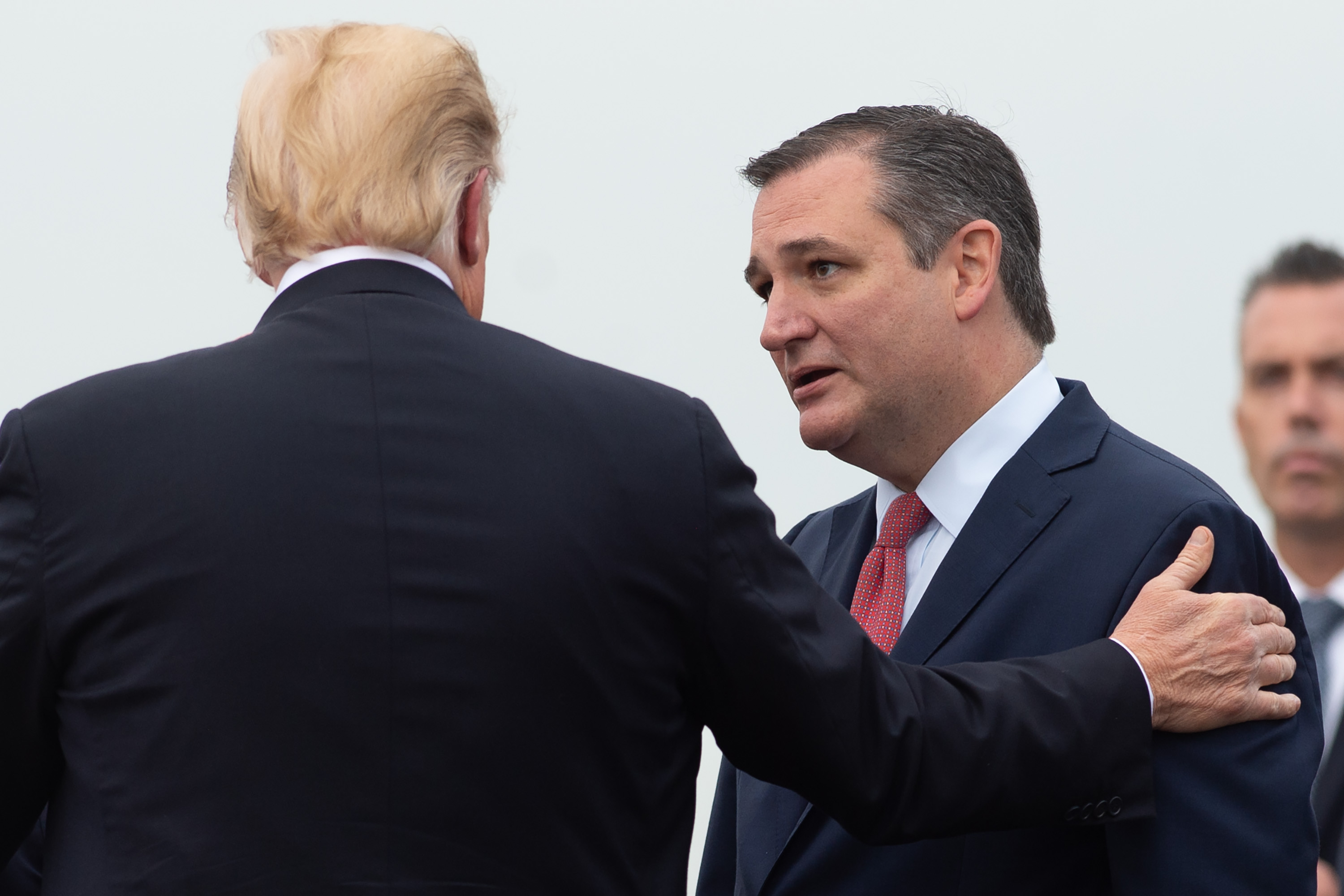 Allies Ted Cruz, Donald Trump Endorse Different Candidates for Ohio Senate – Newsweek