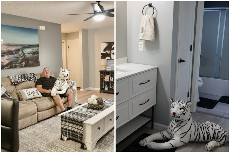 Photos of 3819 Quail Street.