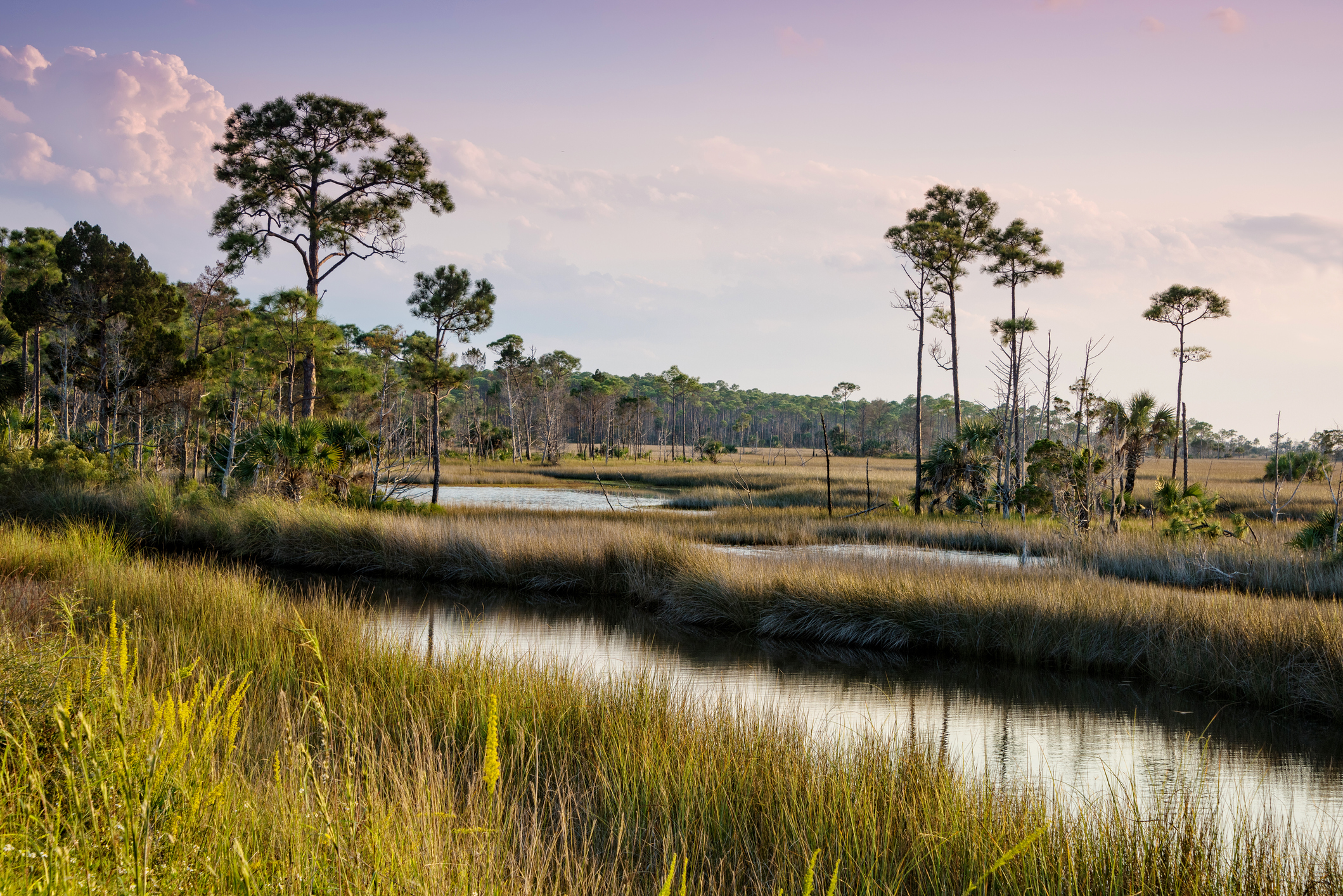 Lost Hiker Rescued From Deepest Florida Marshes in Dramatic Video