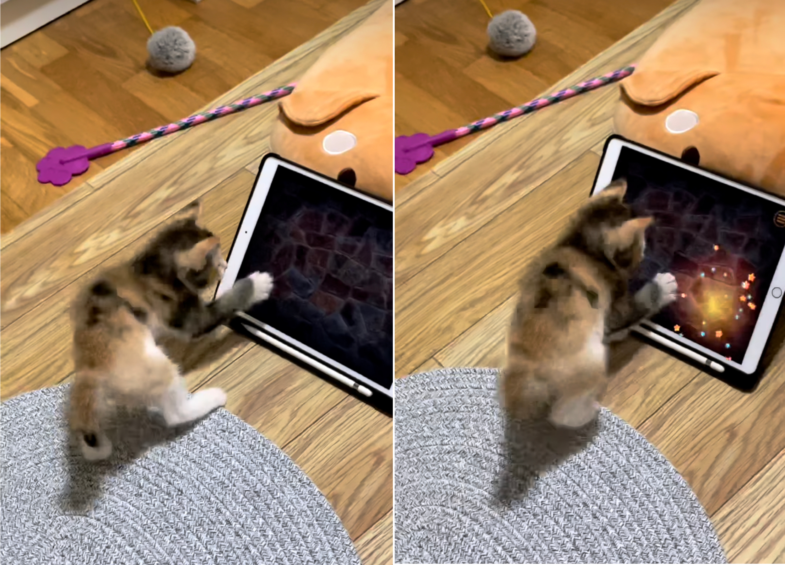 Catch The mouse for cats - Apps on Google Play