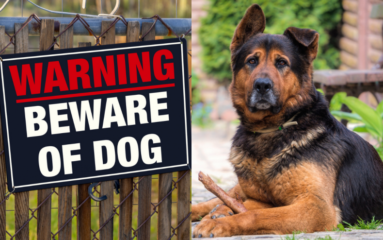 A beware of dog sign and dog.