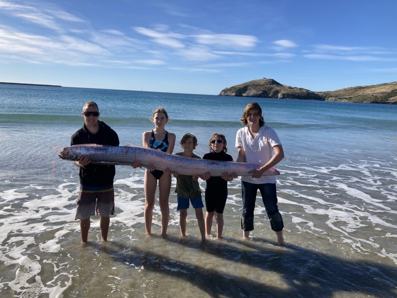 Oar fish