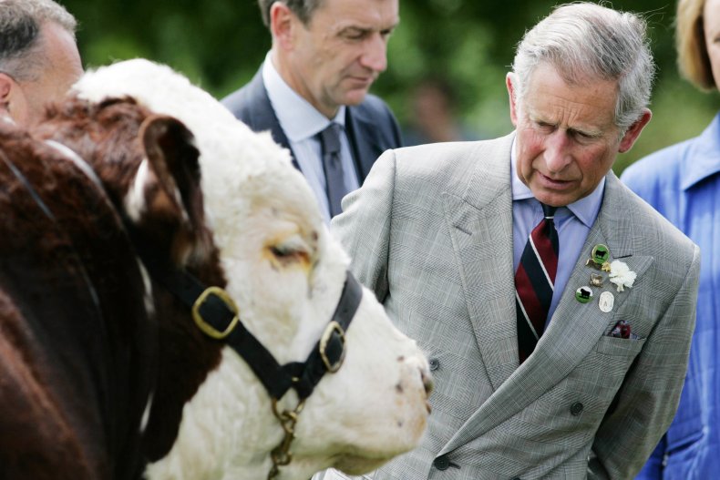 Prince Charles Three Counties Show 2007