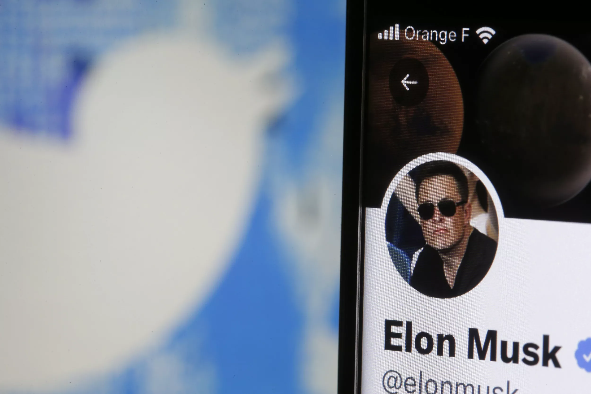 Trump's Presidency Yields Lessons for Musk's Twitter Takeover - Vimarsana News