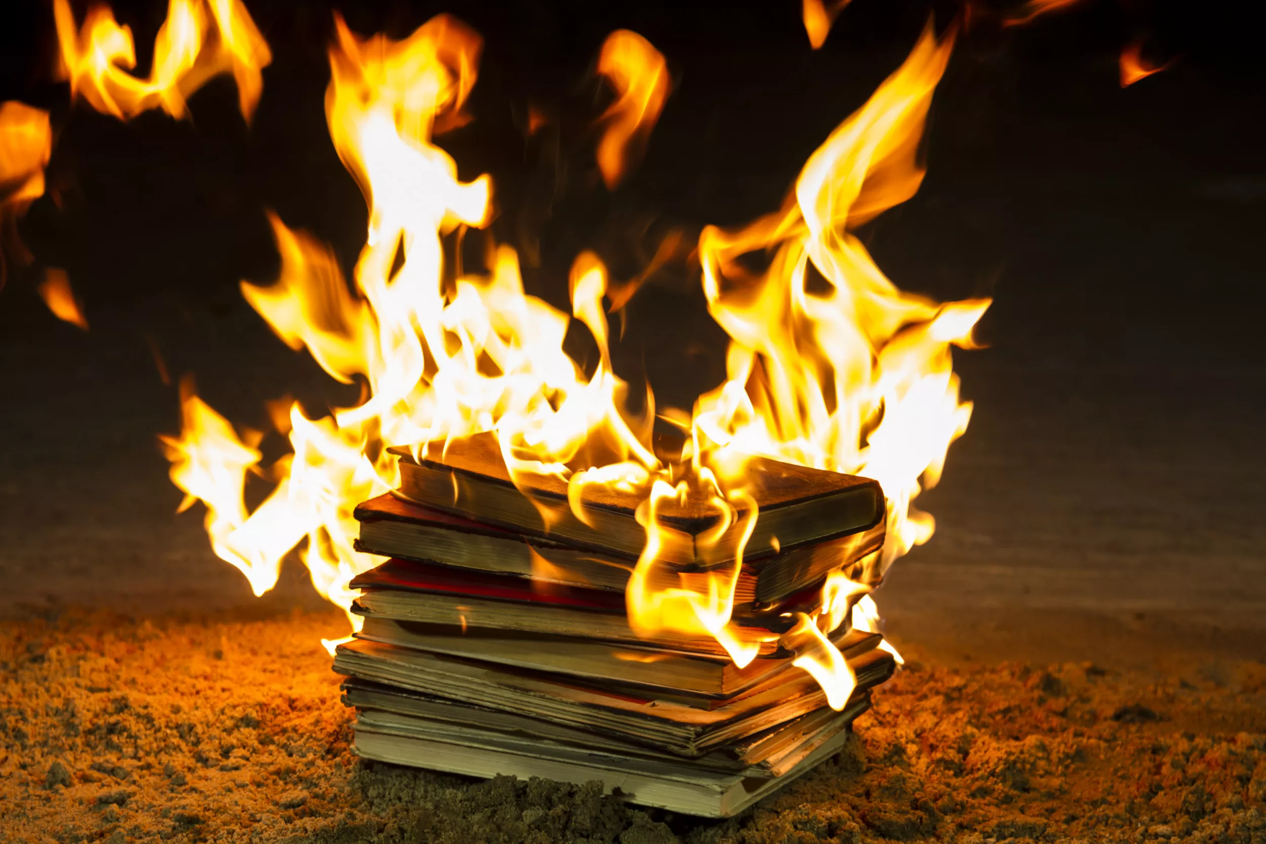 Tennessee Rep. Jerry Sexton Vows to Burn Banned Books - Vimarsana News