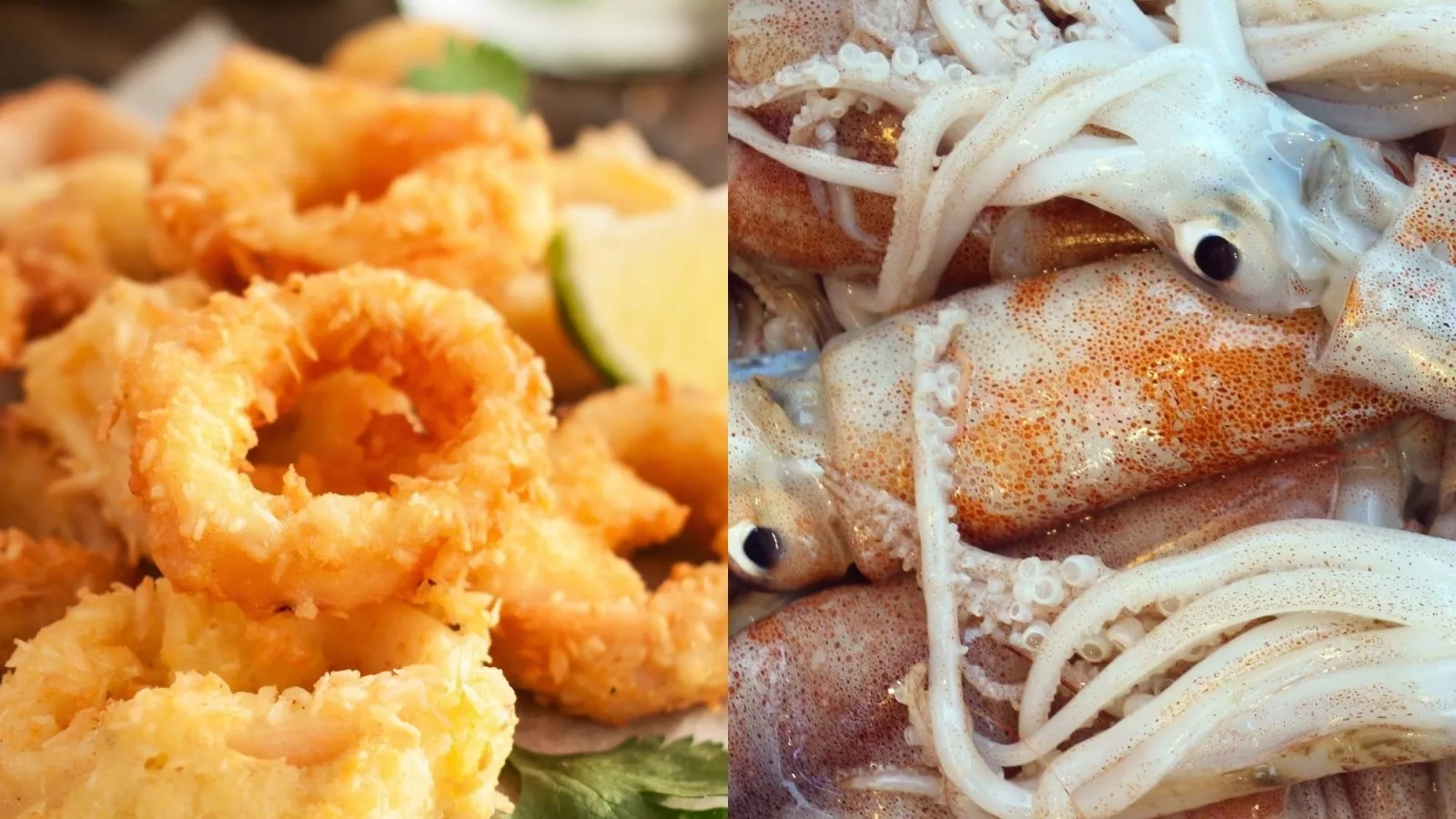 What Is Calamari