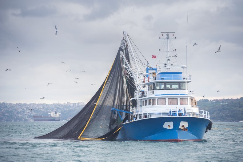 Trawl fishing