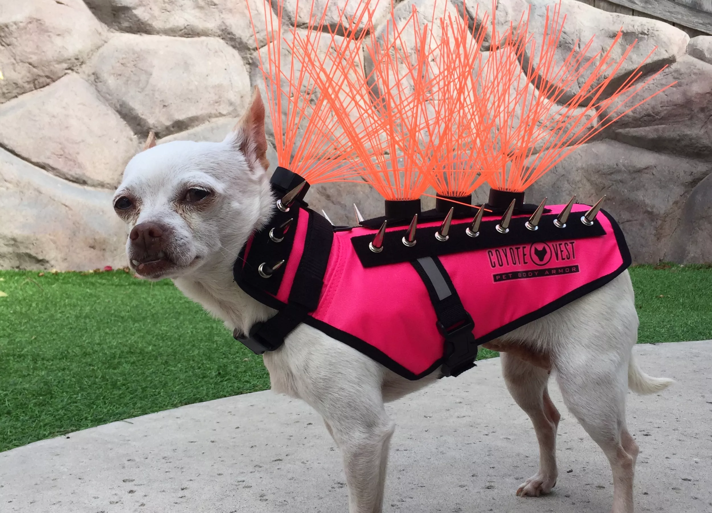 Body Armor Anti Coyote Jacket For Dogs Coyote Vest For Dogs Anti