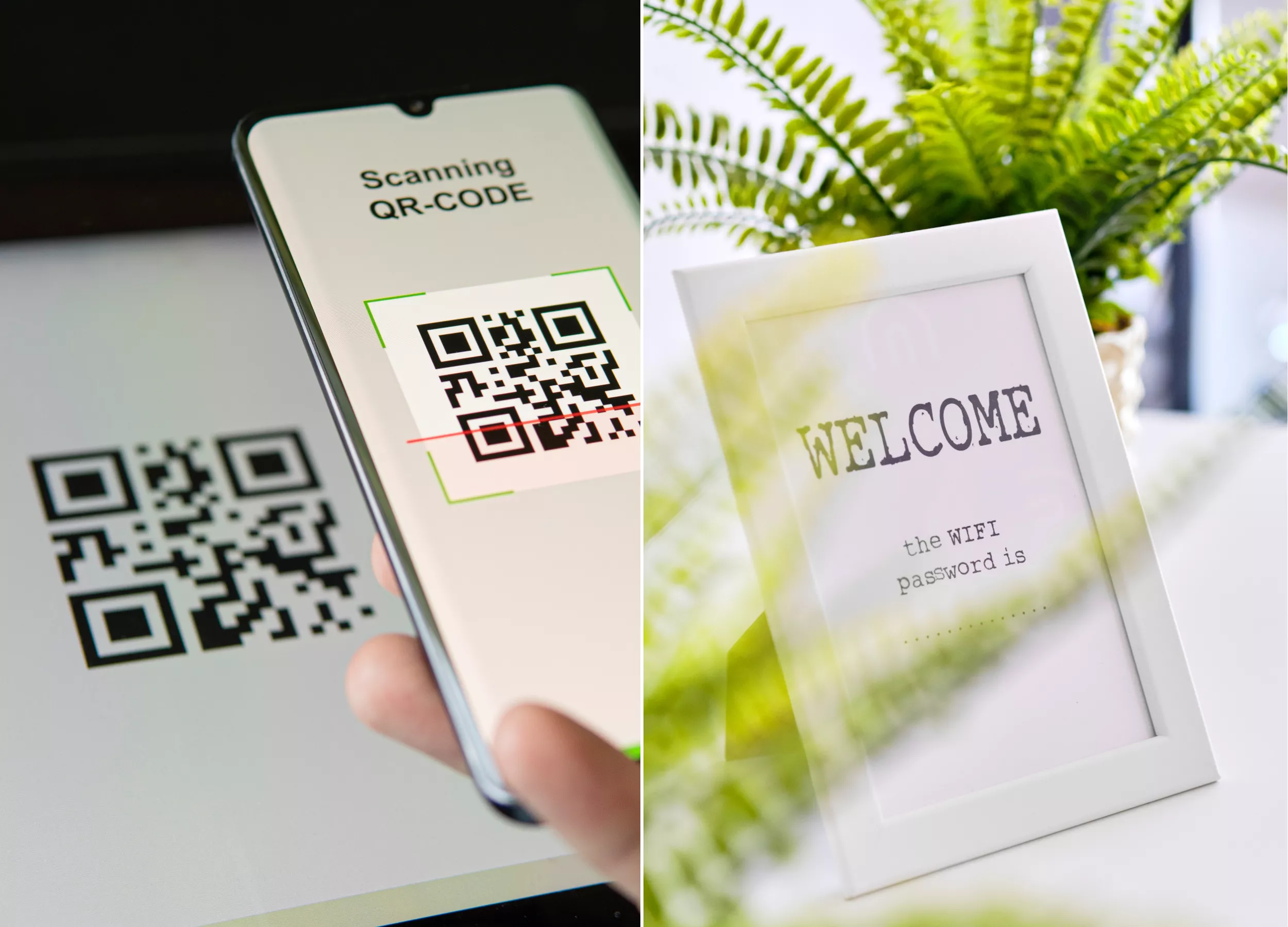 Man's Solution To Share WiFi With Guests Impresses Internet: 'Neat' - Vimarsana News