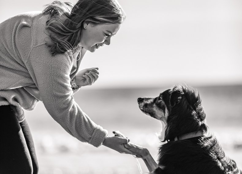 Lauren Smith Kennedy Pet Photography 1