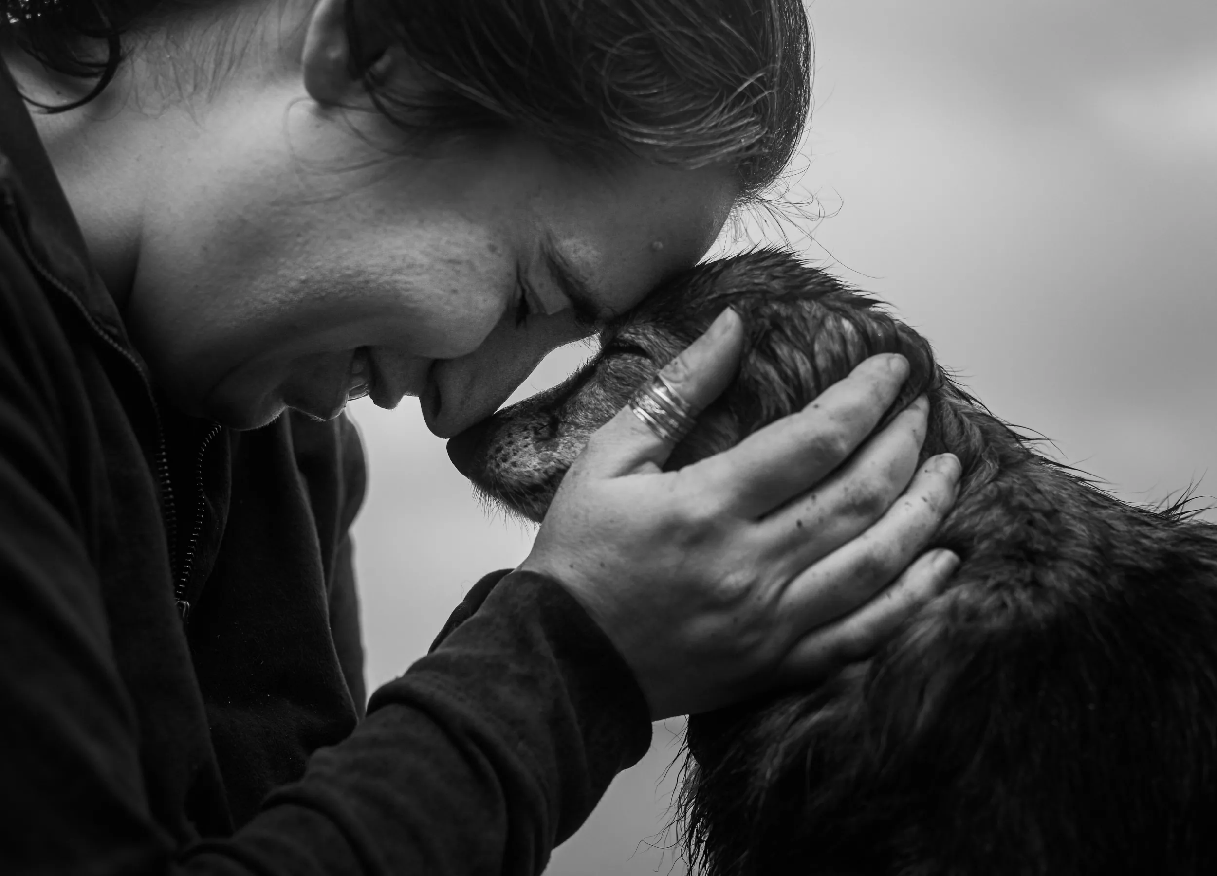 Meet a Photographer Capturing Special Last Moments Between Owners and Pets - Vimarsana News